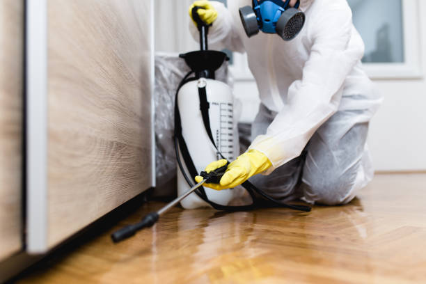 Best Affordable Pest Control Services  in Silver City, NM
