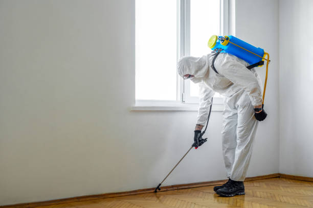 Flea Control Services in Silver City, NM