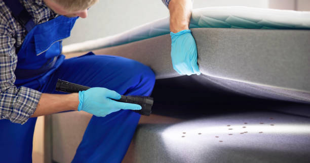 Best Pest Prevention Services  in Silver City, NM