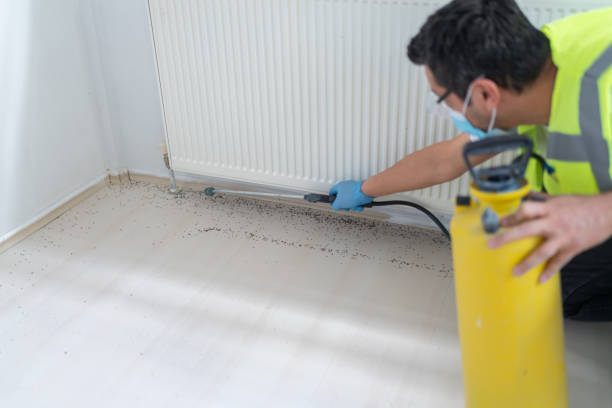Best Commercial Pest Control Services  in Silver City, NM