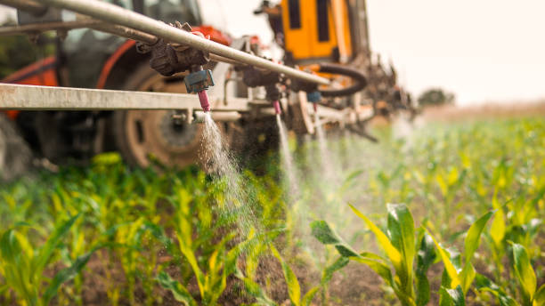 Best Commercial Pest Control Services  in Silver City, NM